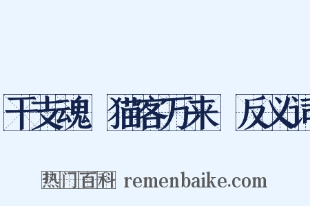 干支魂～猫客万来～反义词是什么意思的图片